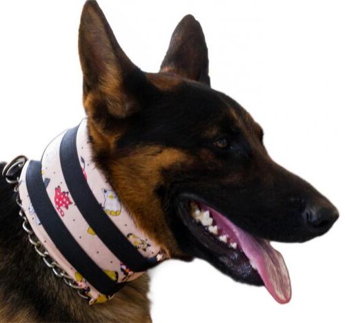 COLAR CERVICAL NINA PET N4