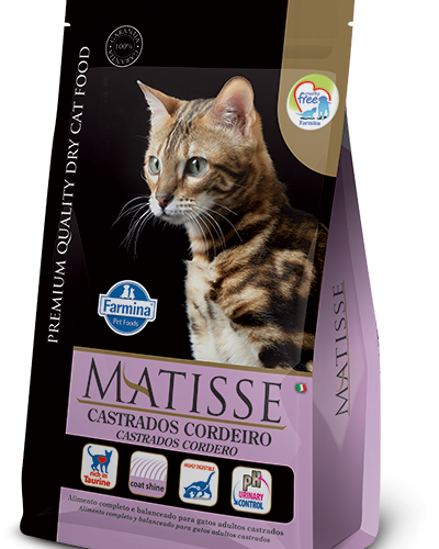 Matisse Castrado Cordeiro 2Kg