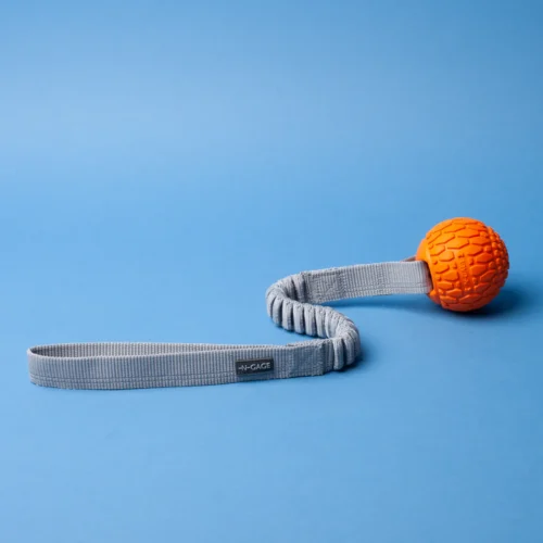 N GAGE BUNGEE HANGLER ORAN016-