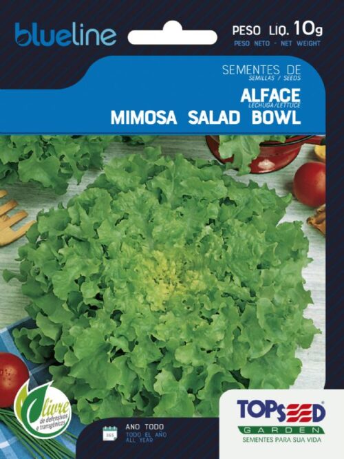 SEMENTE ALFACE MIMOSA GREEN SALAD