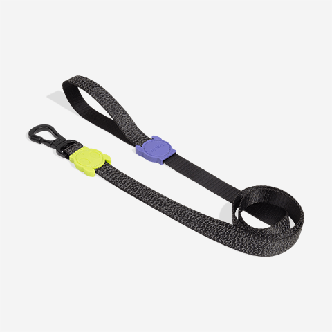 ZEE DOG GUIA PARA CACHORROS NOX PP